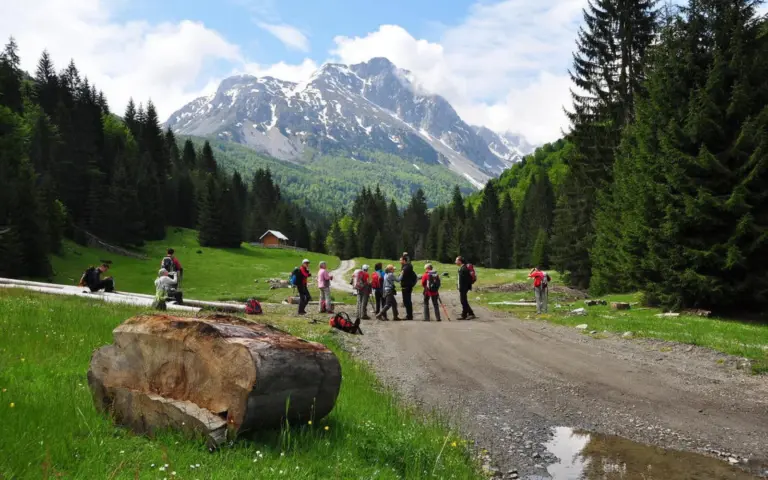 Natur pur in Montenegros Bergen – in Montenegro gibt es fünf Nationalparks