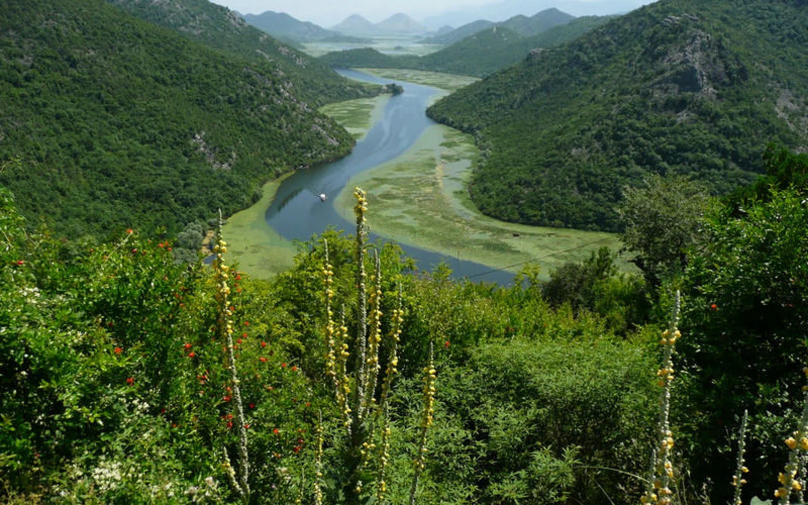 Der malerische Skadarsee – Naturidyll und Vogelparadies