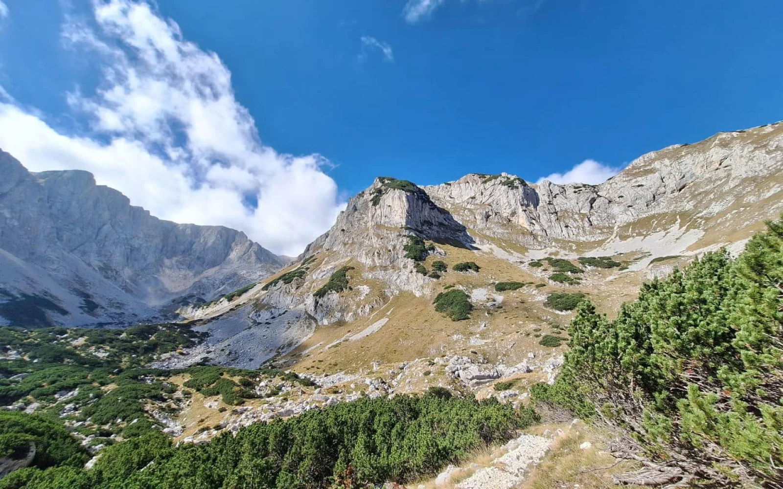 Freuen Sie auf Bergwanderungen u.a. im Tara - und im Durmitor Nationalpark