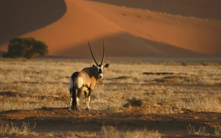 Willkommen in Namibia...