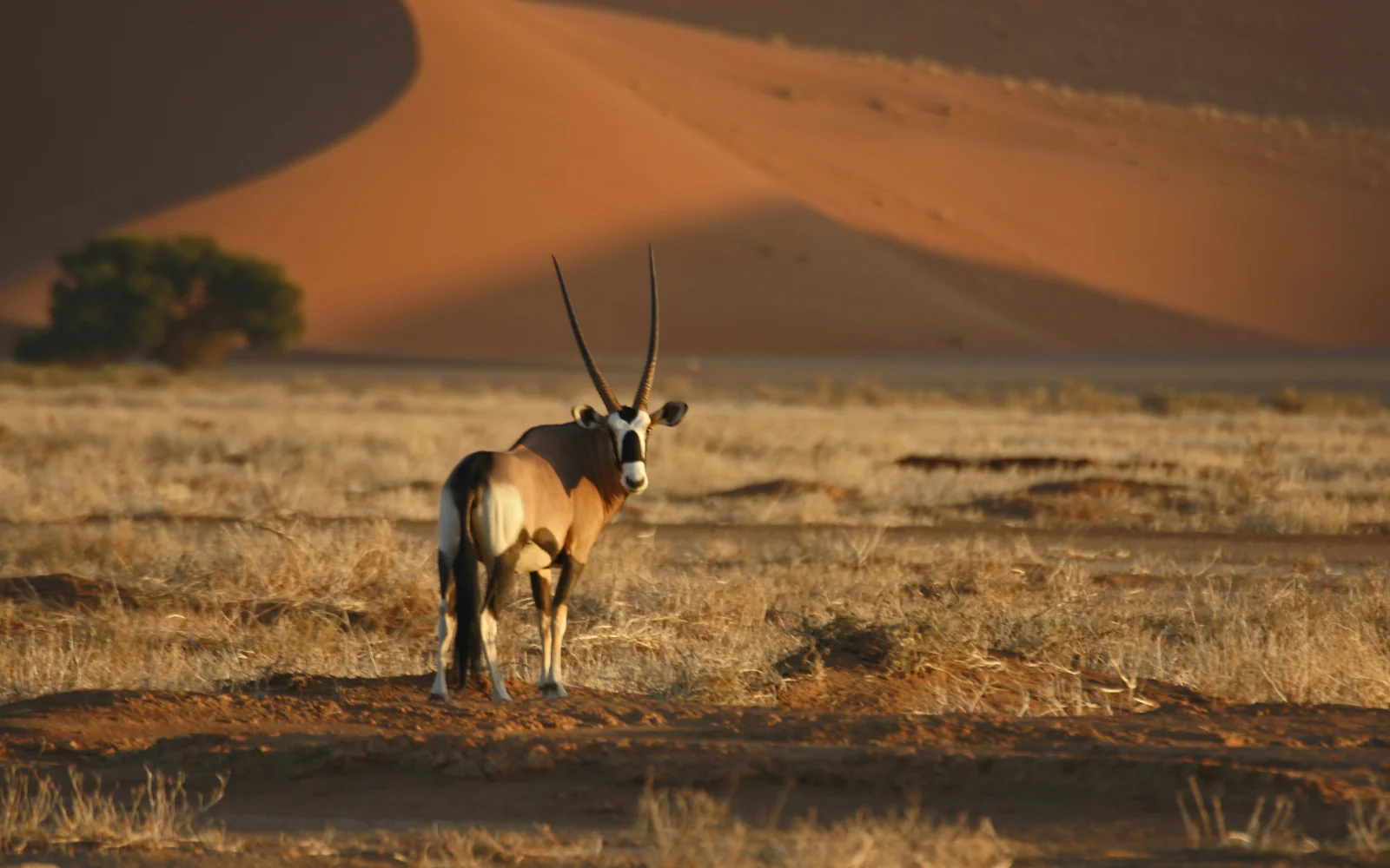 Willkommen in Namibia...