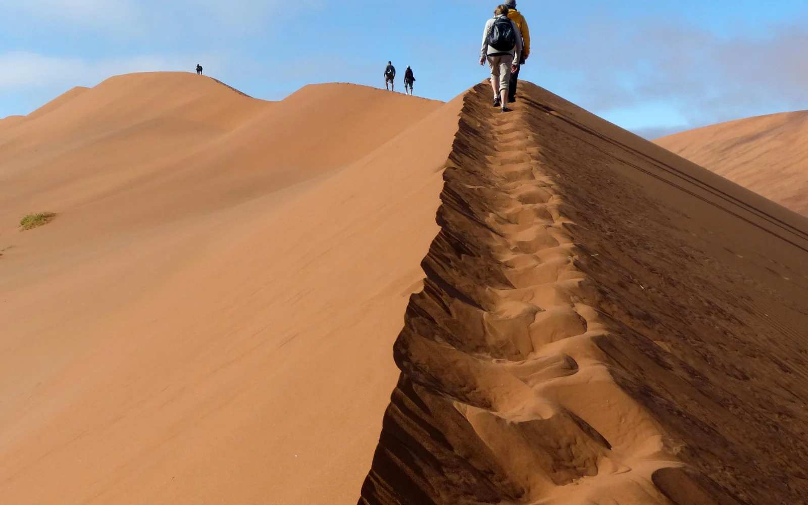 Erlebe die brennende Wüste bei Sonnenaufgang! – Die Düne 45 im Gebiet von Sossusvlei