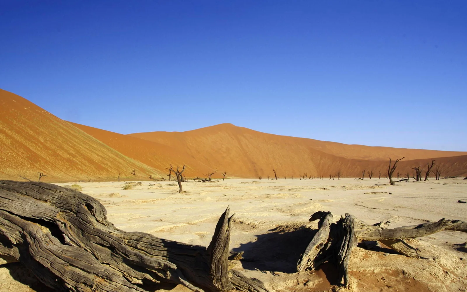 Die Namib-Wüste ist eine der ältesten Wüsten der Welt