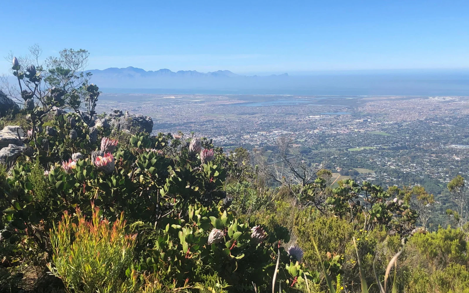 Ausblicke auf dem Rückweg vom Tafelberg Plateau