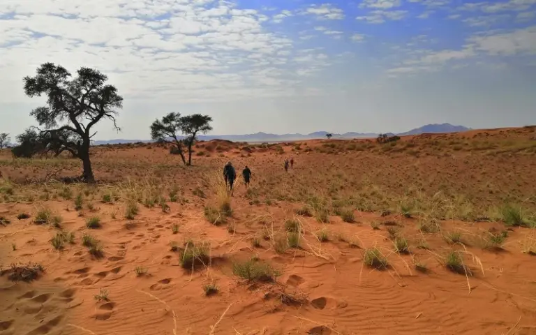 Fahrt zum Desert Homestead, Wüstenwanderung und Weiterfahrt