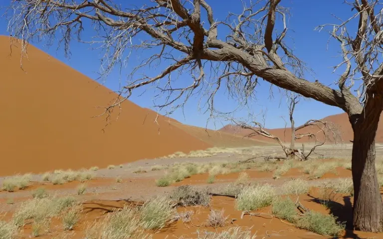 Wanderung durch die Namib Wüste