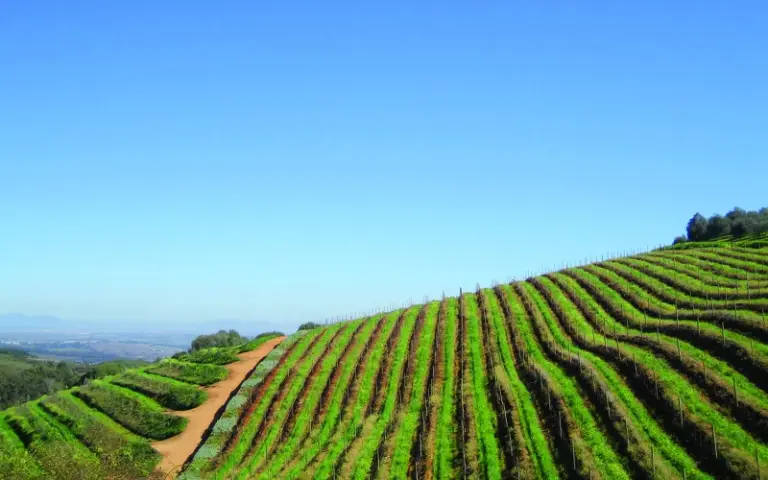 Stadtrundgang Stellenbosch, Weinprobe und Wanderung in Cederbergen