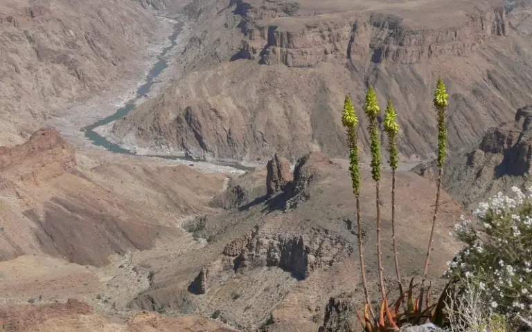 Wanderung am Fish River Canyon