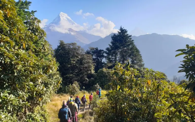 Wandern zwischen üppigen Rhododendronwäldern und schneegekrönten Bergriesen Wandern zwischen üppigen Rhododendronwäldern und schneegekrönten Bergriesen