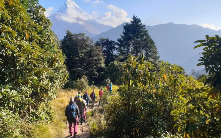 Wandern zwischen üppigen Rhododendronwäldern und schneegekrönten Bergriesen