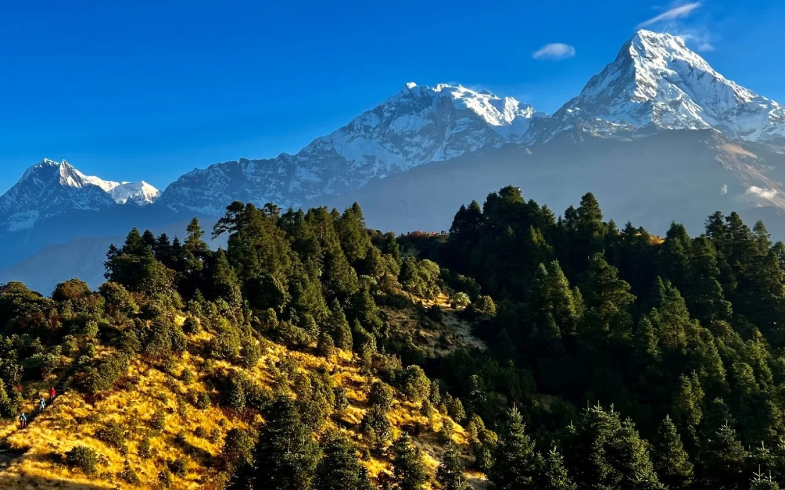 Und im Herbst strahlen die Naturfarben (Foto: Fam. Potzkai)
