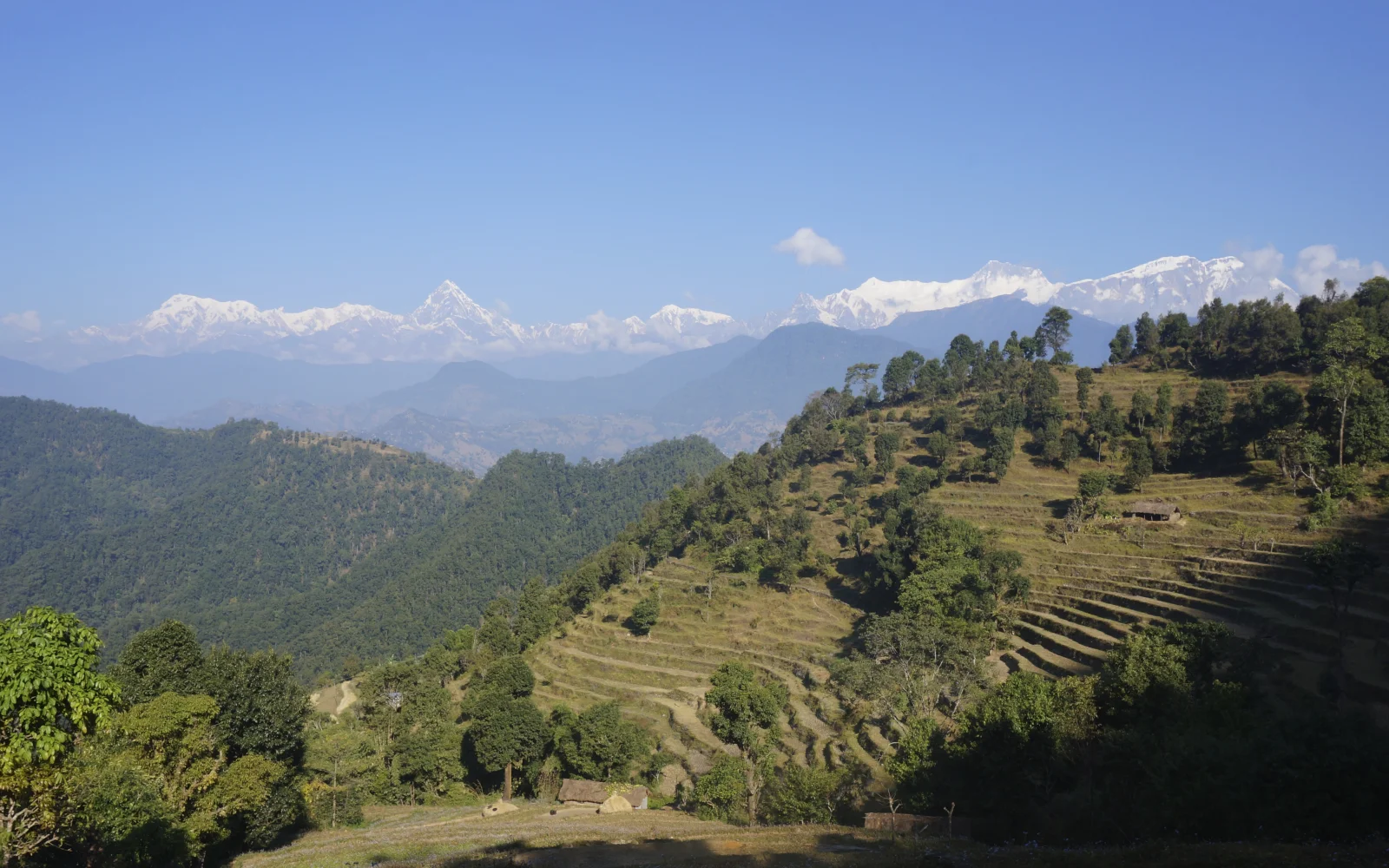 Leichte Wanderungen führen durchs ländliche Nepal.
