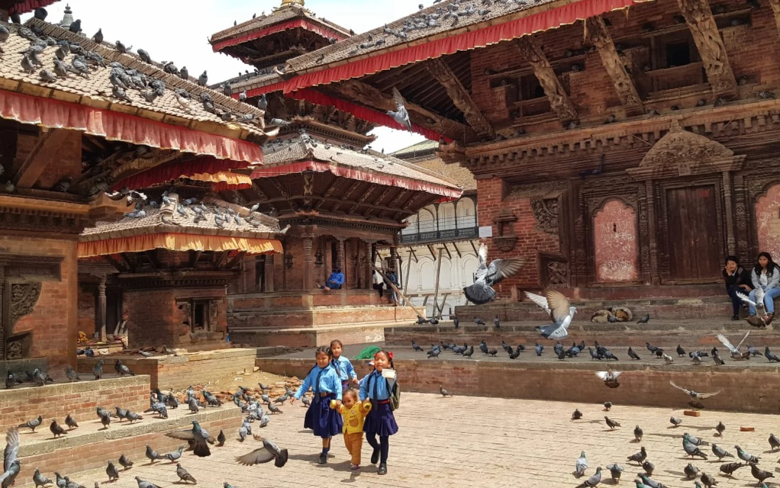 Im Kathmandu-Tal sorgen typische Alltagsszenen für Abwechslung.