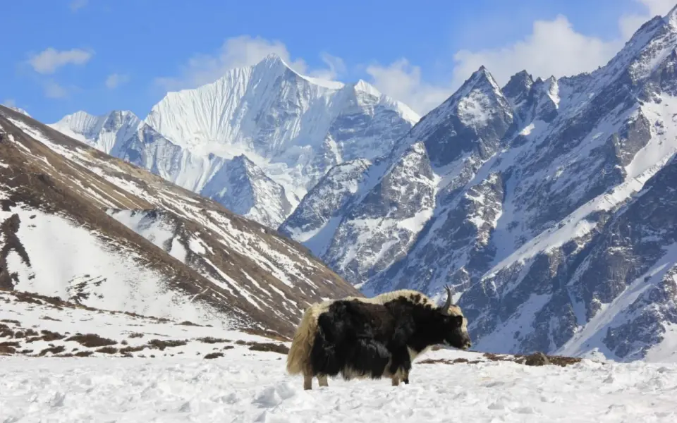 Langtang, Helambu und Tamang