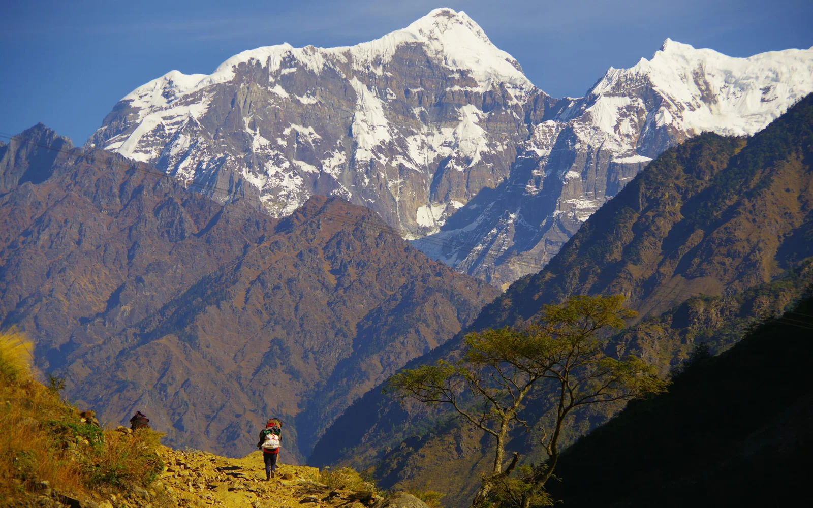 Unvergesslichen bleiben die Ausblicke auf Ganesh und Shingri Himal.