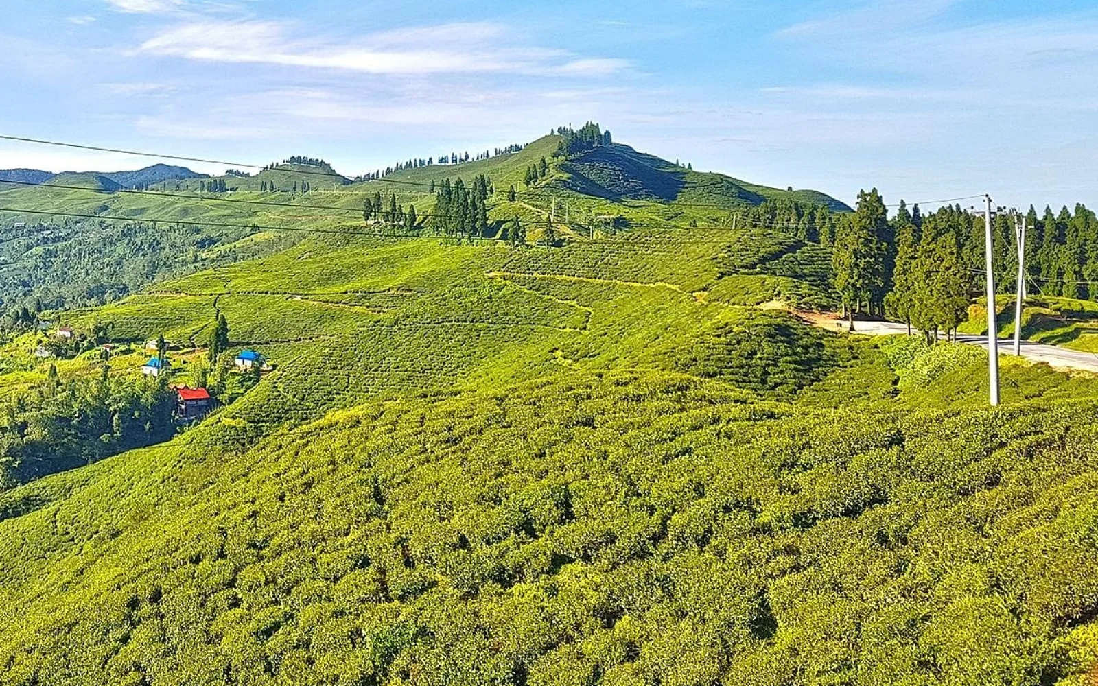 Die Anfahrt erfolgt durch die grünen Teeplantagen von Ilam in Ostnepal.