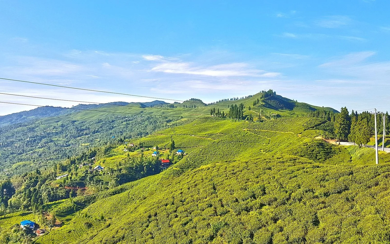 Die Anfahrt erfolgt durch die grünen Teeplantagen von Ilam in Ostnepal.