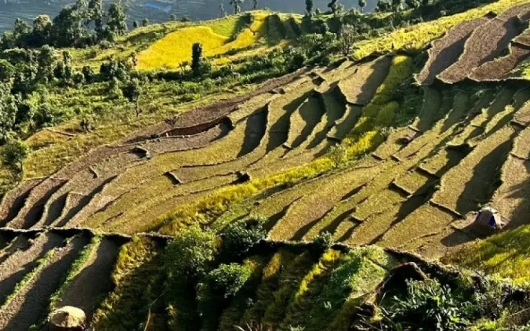 Panoramaflug nach Pokhara und erste Trekkingetappe bis Hille (1.480 m)