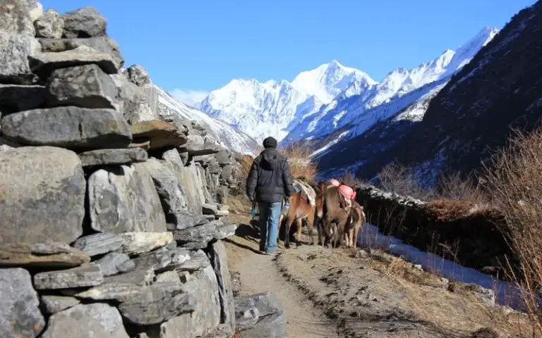 Trekking durch das Langtang-Tal bis zum Dorf Langtang (3.400 m)