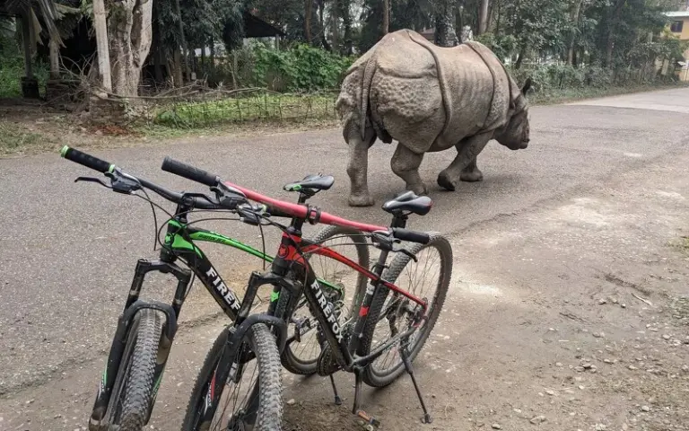 Radtour entlang der Seen und Tharu-Dörfer oder optionale Aktivitäten