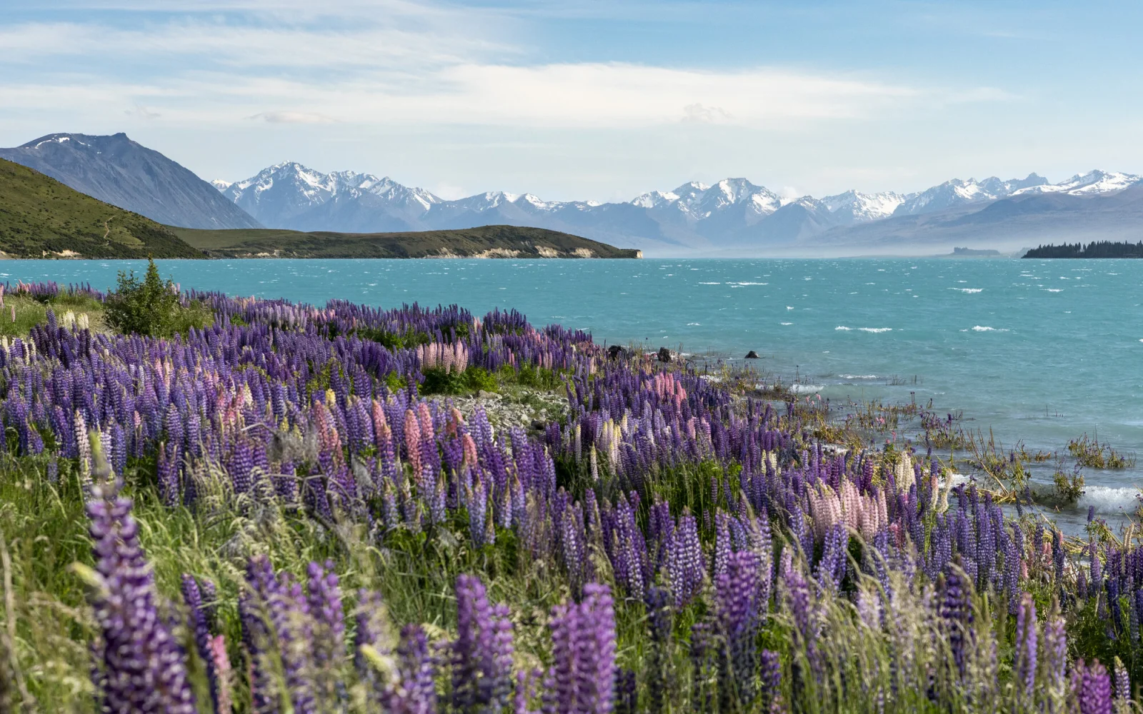 Lake Tekapo