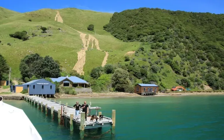 Mit dem Boot zum Queen Charlotte Track und Wanderung