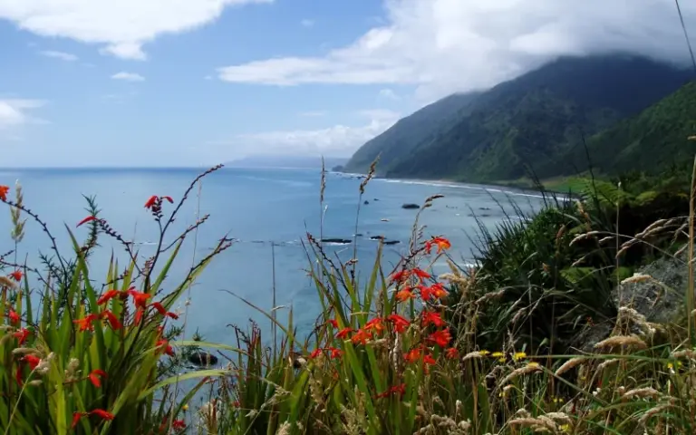 Fahrt von Hokitika nach Haast im Westland-Nationalpark