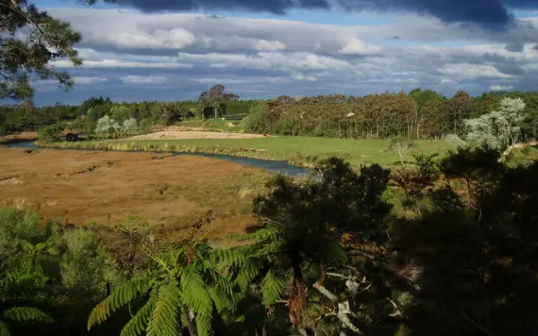 Fahrt zur Coromandel Halbinsel und per Rad auf dem Hauraki Rail Trail