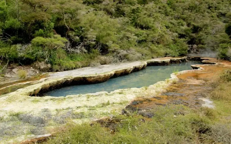 Fahrt zum Waimangu Valley: Geothermales Wunderland entdecken