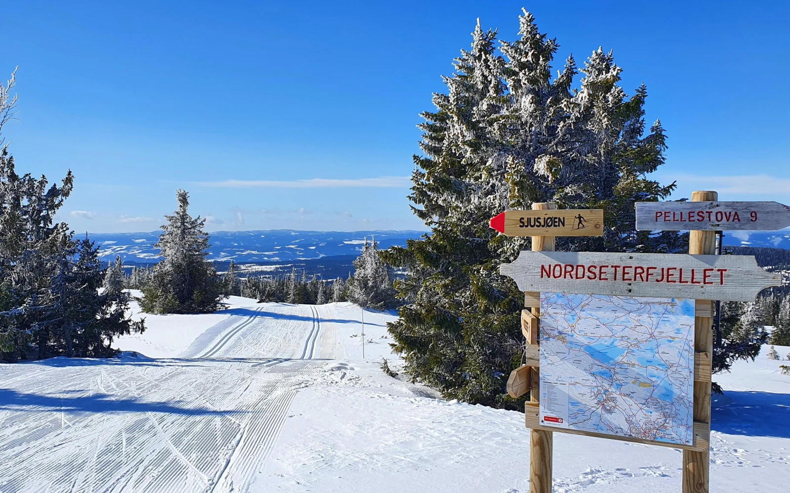 Ein Loipenparadies mit über 500 km erwartet Sie direkt vor dem Hotel