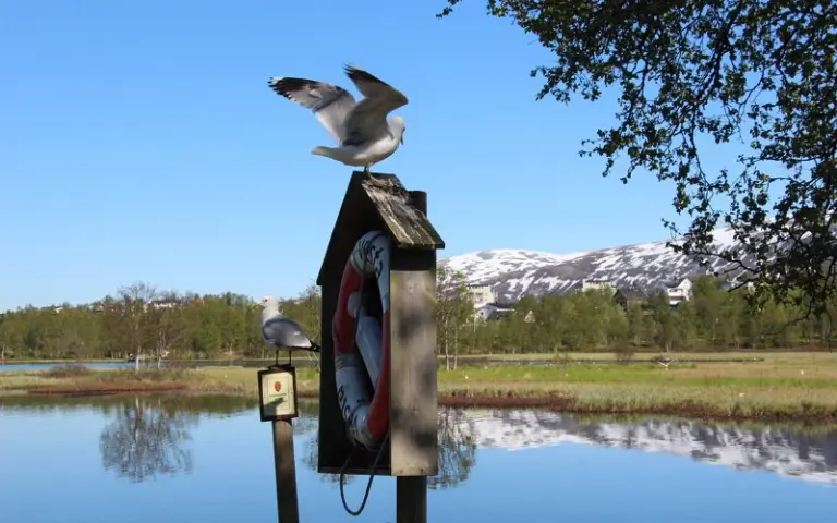 Freitag: Entspannte Radtour auf Tromsøya