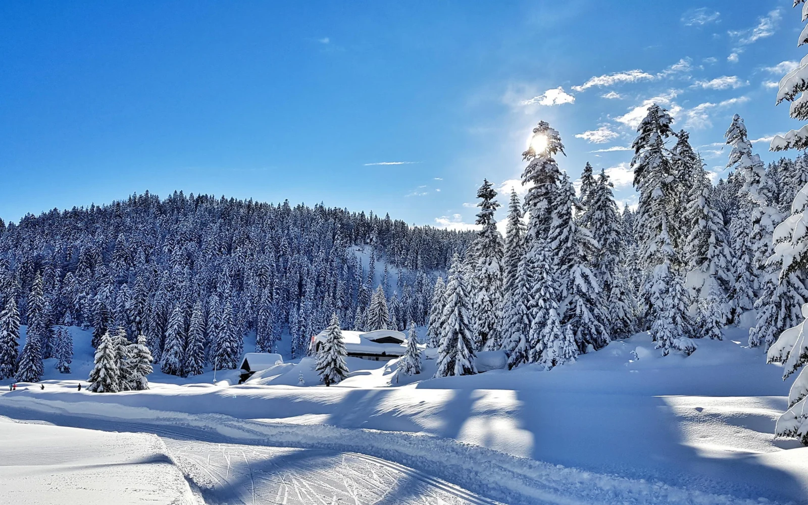 Von Leutasch aus sind es nur wenige Skilanglaufkilometer bis nach Seefeld