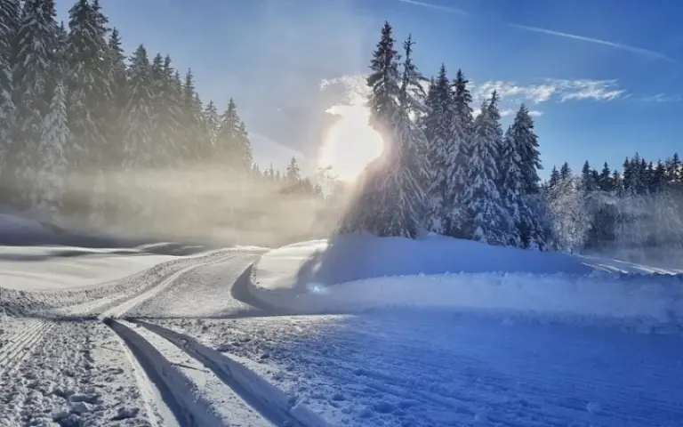 Gewöhnung an den Schnee