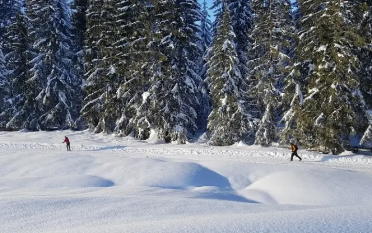 Tolle Skitour in den WM-Ort Seefeld