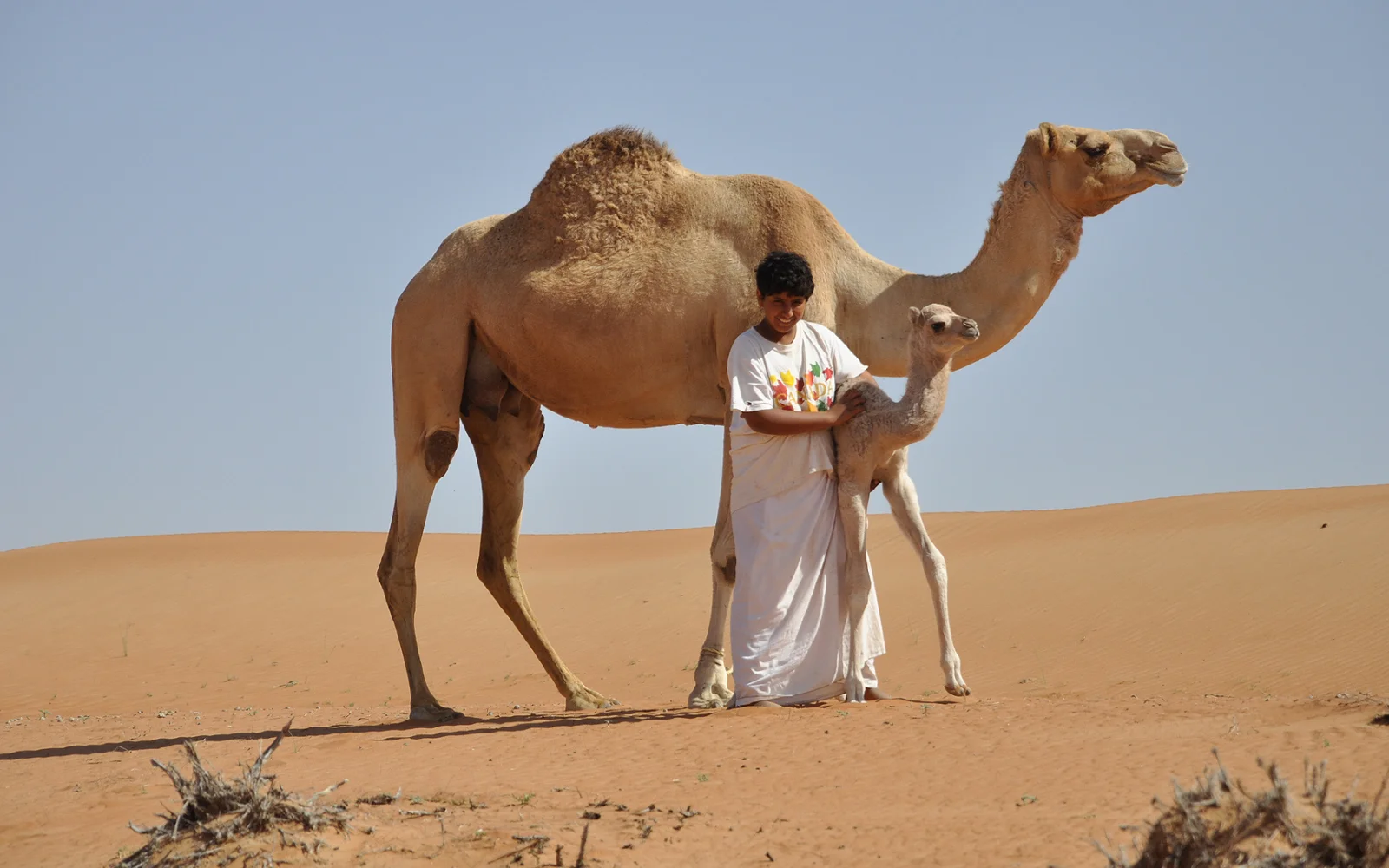 In guter Gesellschaft: zwischen Sand und Seele