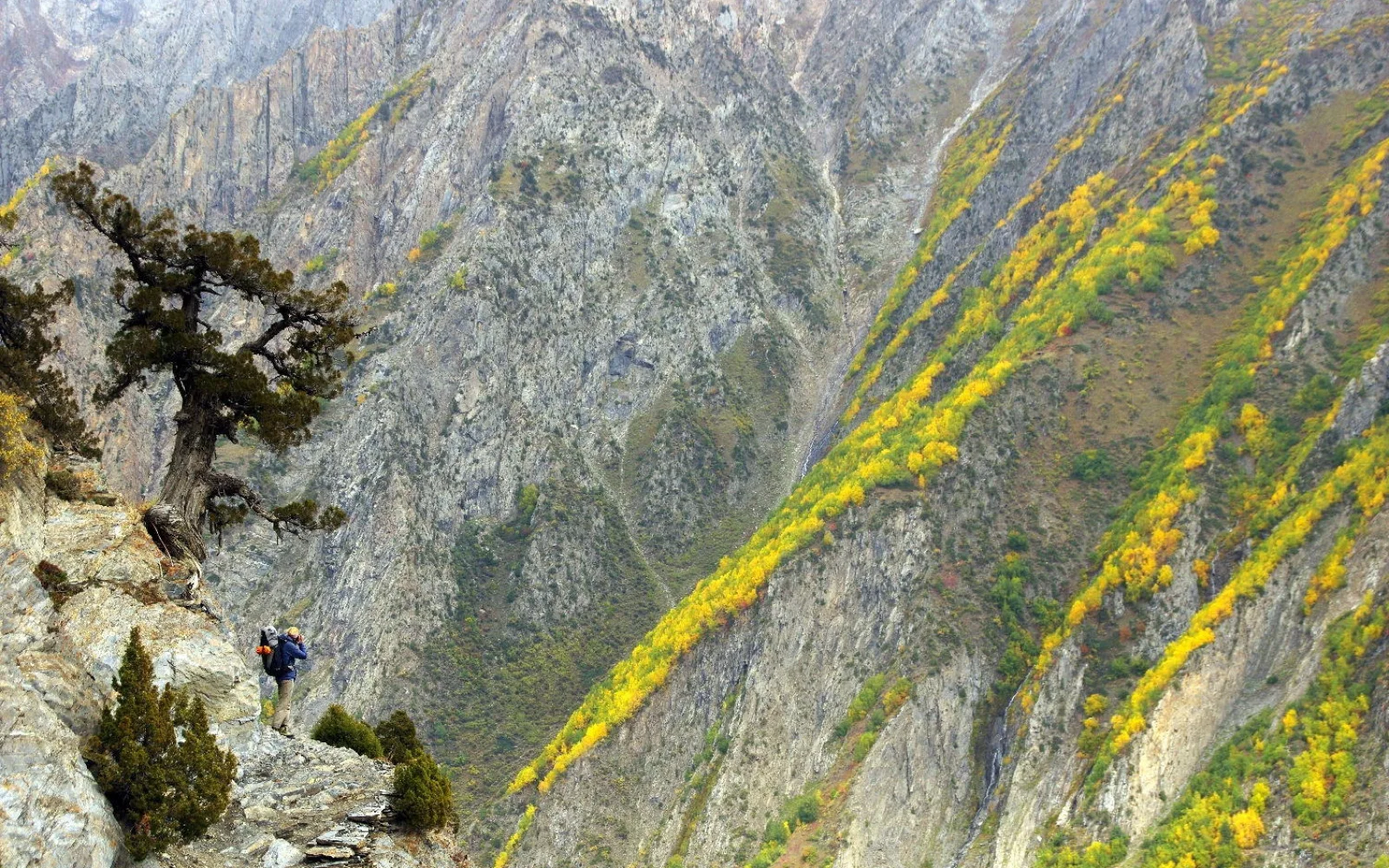 Herbstfarben beim Aufstieg zum Rakaposhi Basecamp 