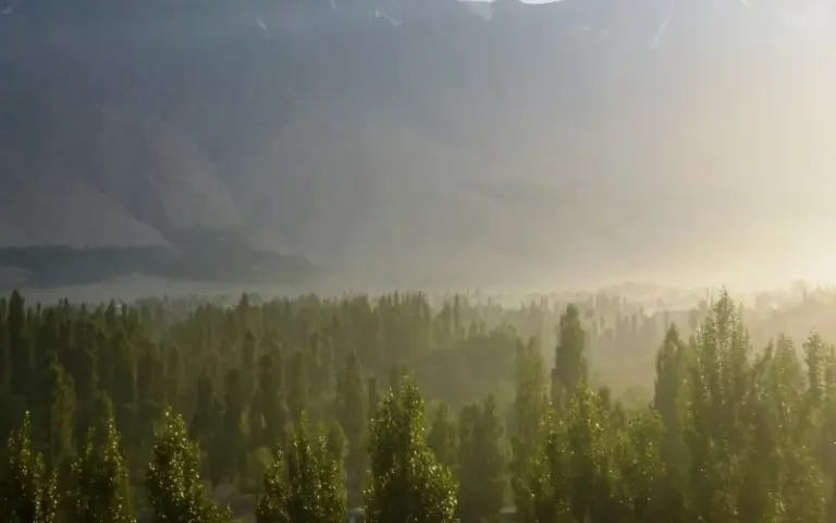 Ankunft in Pakistan und Flug nach Skardu (2.230 m)