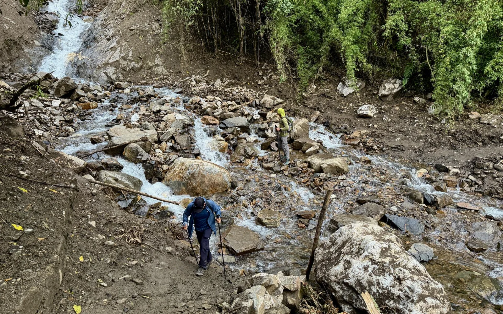 Das zweite Trekking führt durch tropische Nebelwälder