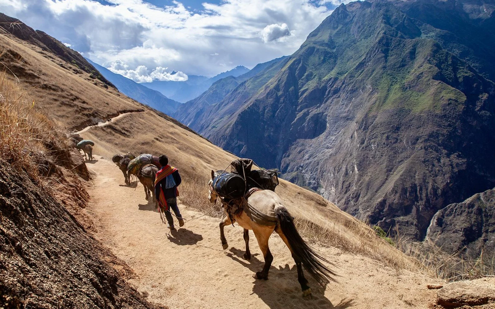 Bei den Trekkings wir Ihr Hauptgepäck von Maultieren transportiert