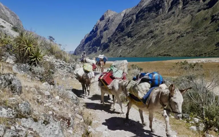 Start des viertägigen Santa Cruz Treks