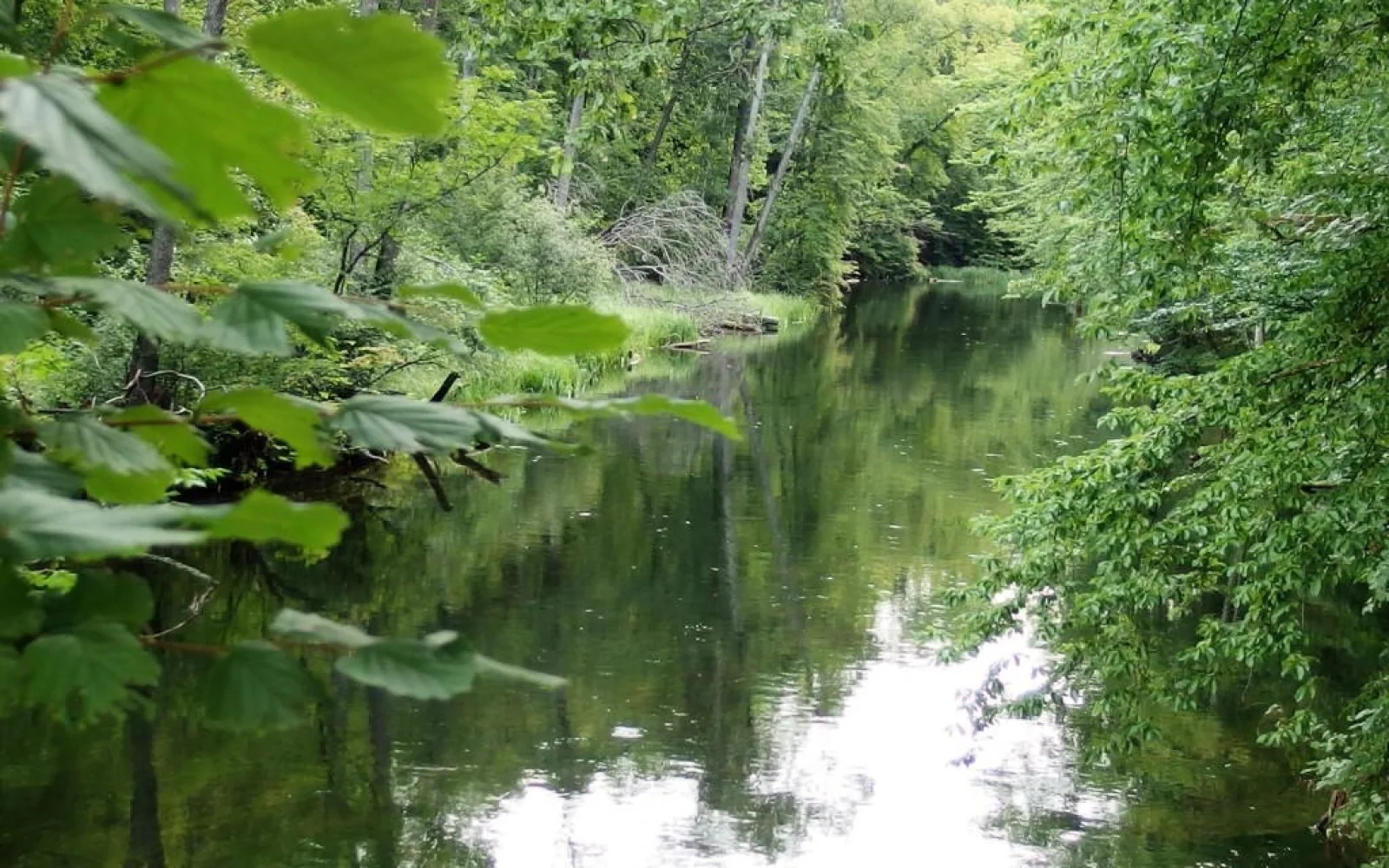 Idyllische Naturerlebnisse