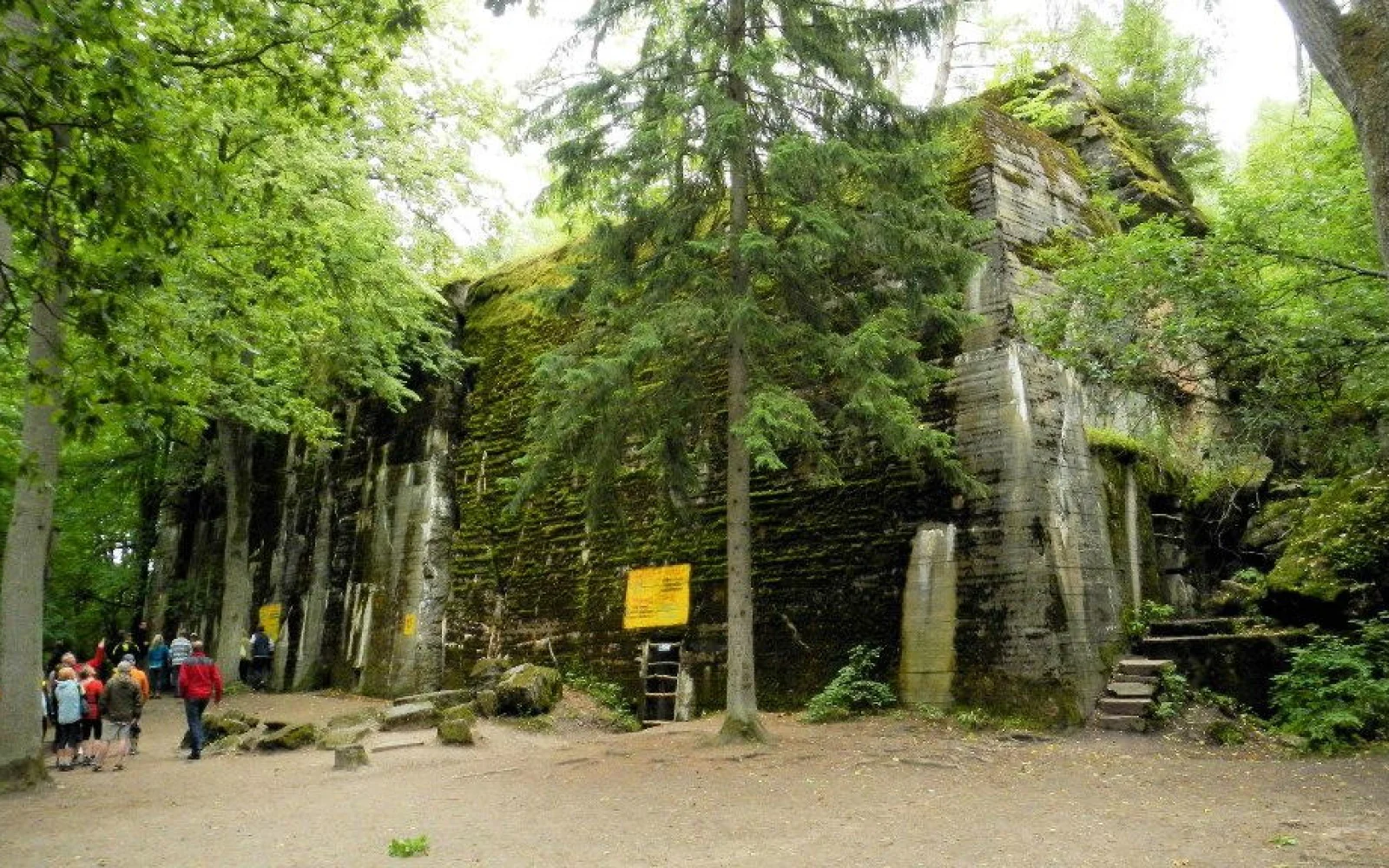 Auch die "Wolfsschanze" (Hitlers ehemaliges Hauptquartier in Ostpreußen) wird am 7. Tag besucht