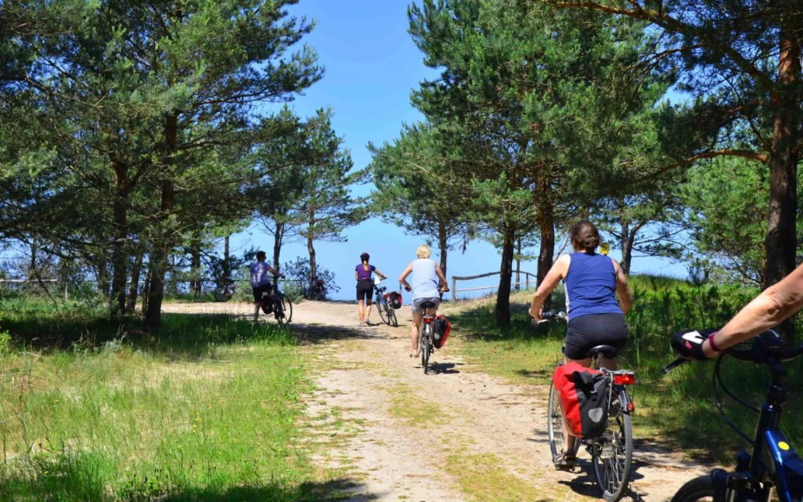 Über Wald- und Küstenwege – mit Meerblick auf dem Drahtesel unterwegs