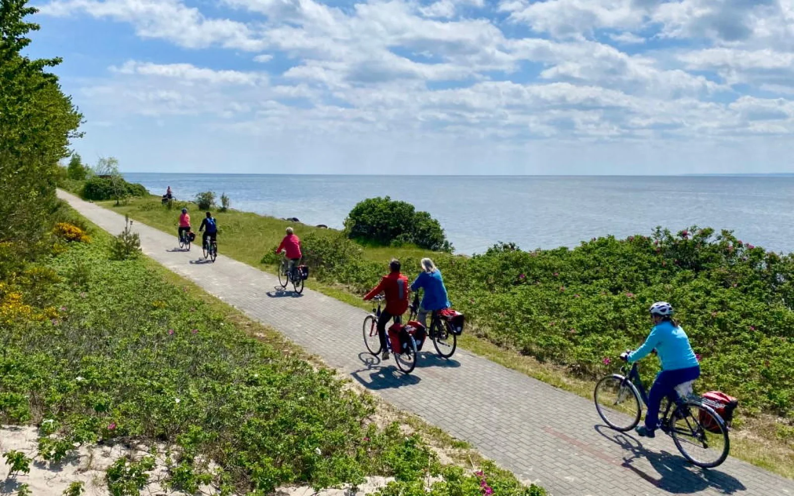 Radweg auf der Halbinsel Hel
