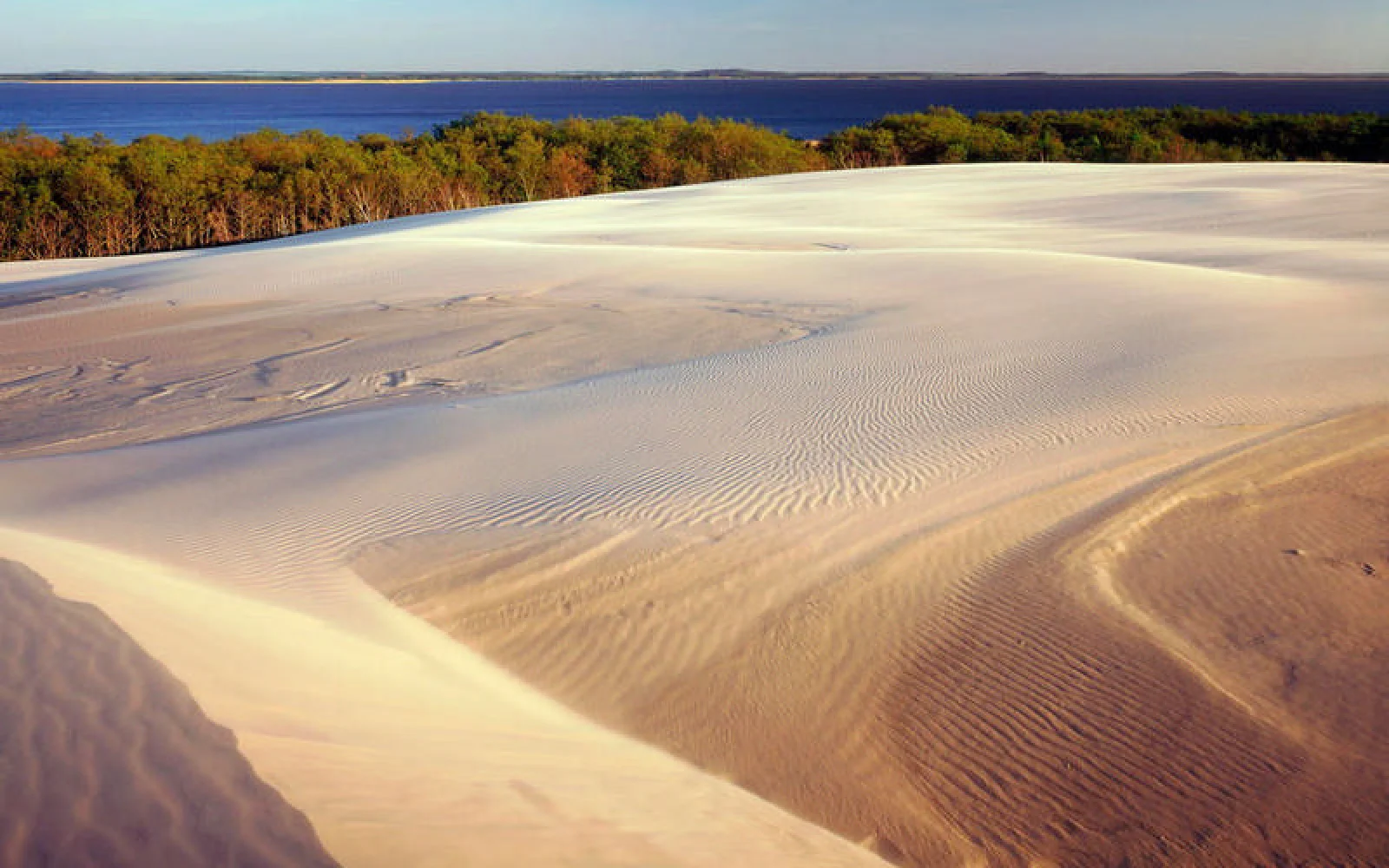Ein Höhepunkt der Radtour: die Wanderdüne bei Łeba, die „polnische Sahara“