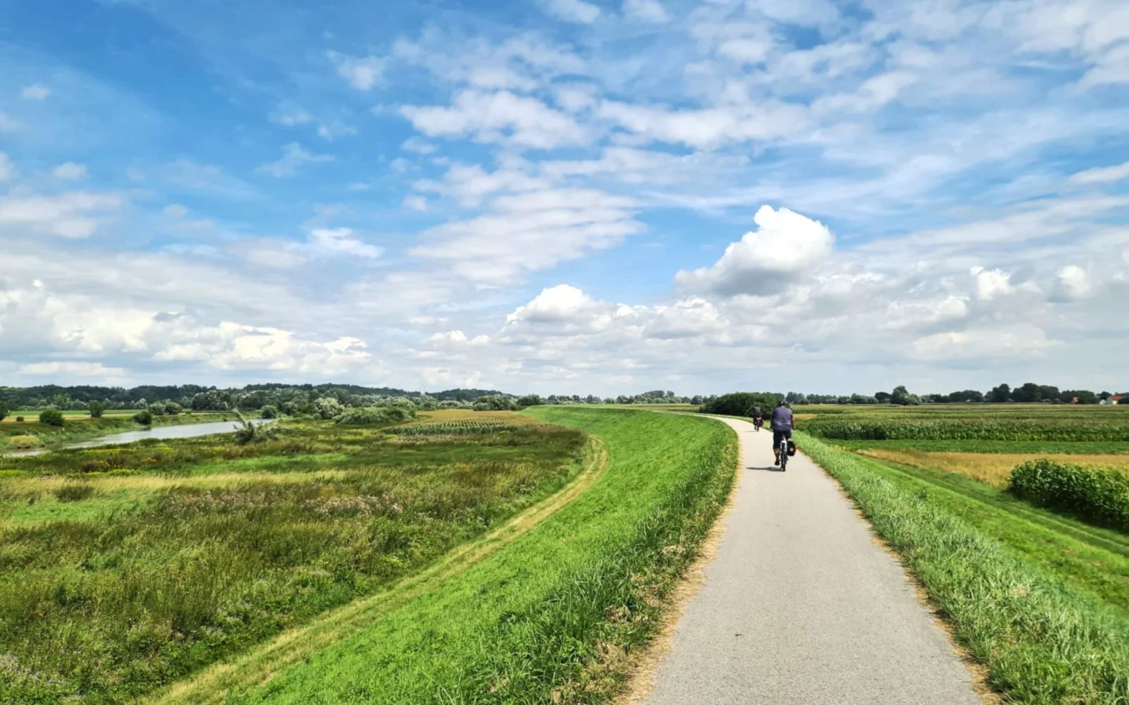 Sie radeln durch's wilde Grün entlang des längsten Flusses Polens