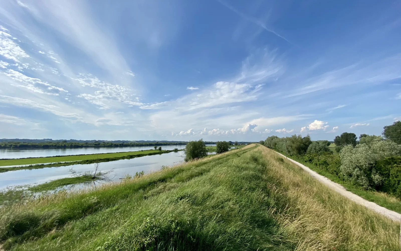 Kleine Wege führen Sie durch die zum Teil noch wilden Auen