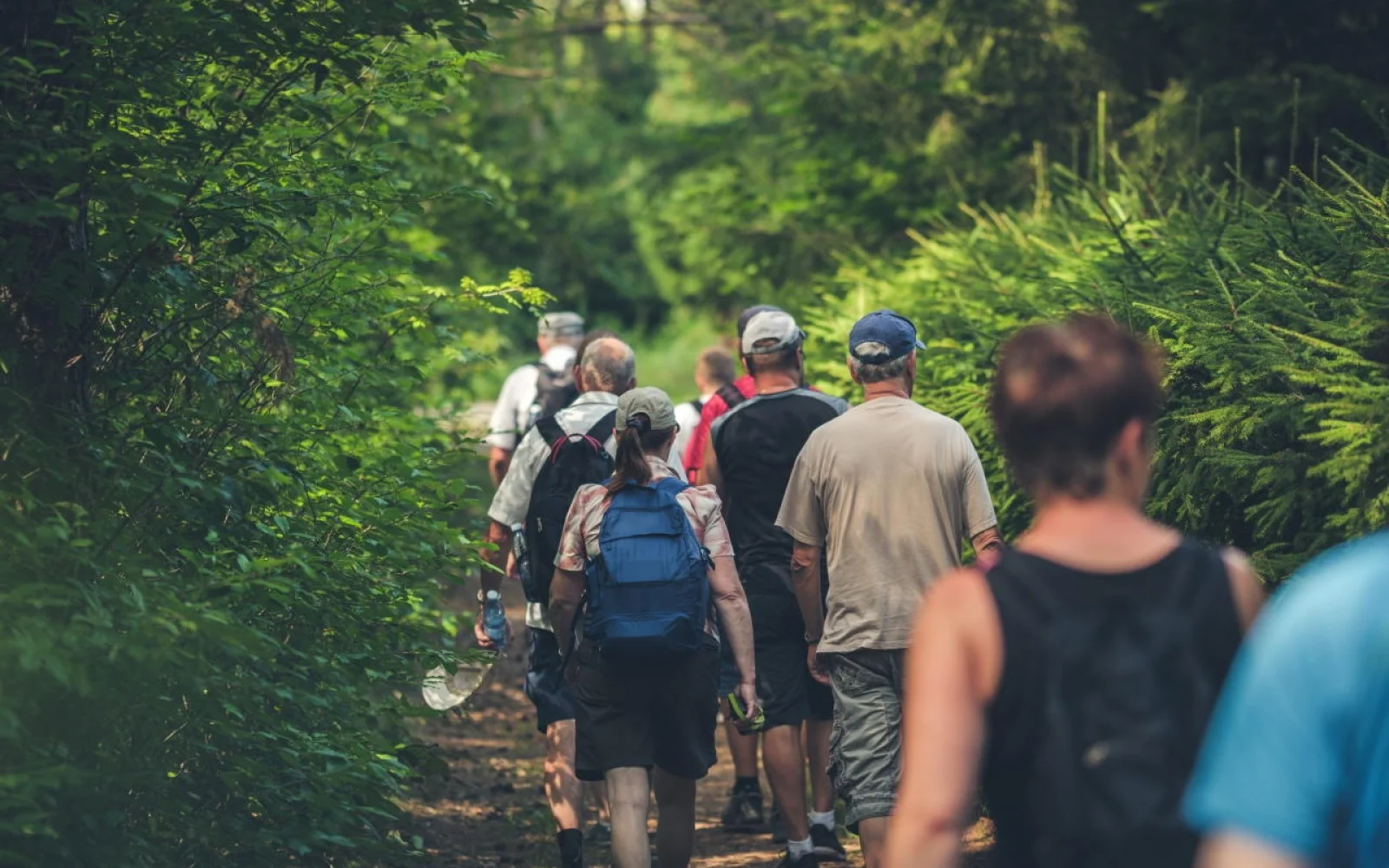 Sowie eine Wanderung inmitten herrlicher Natur