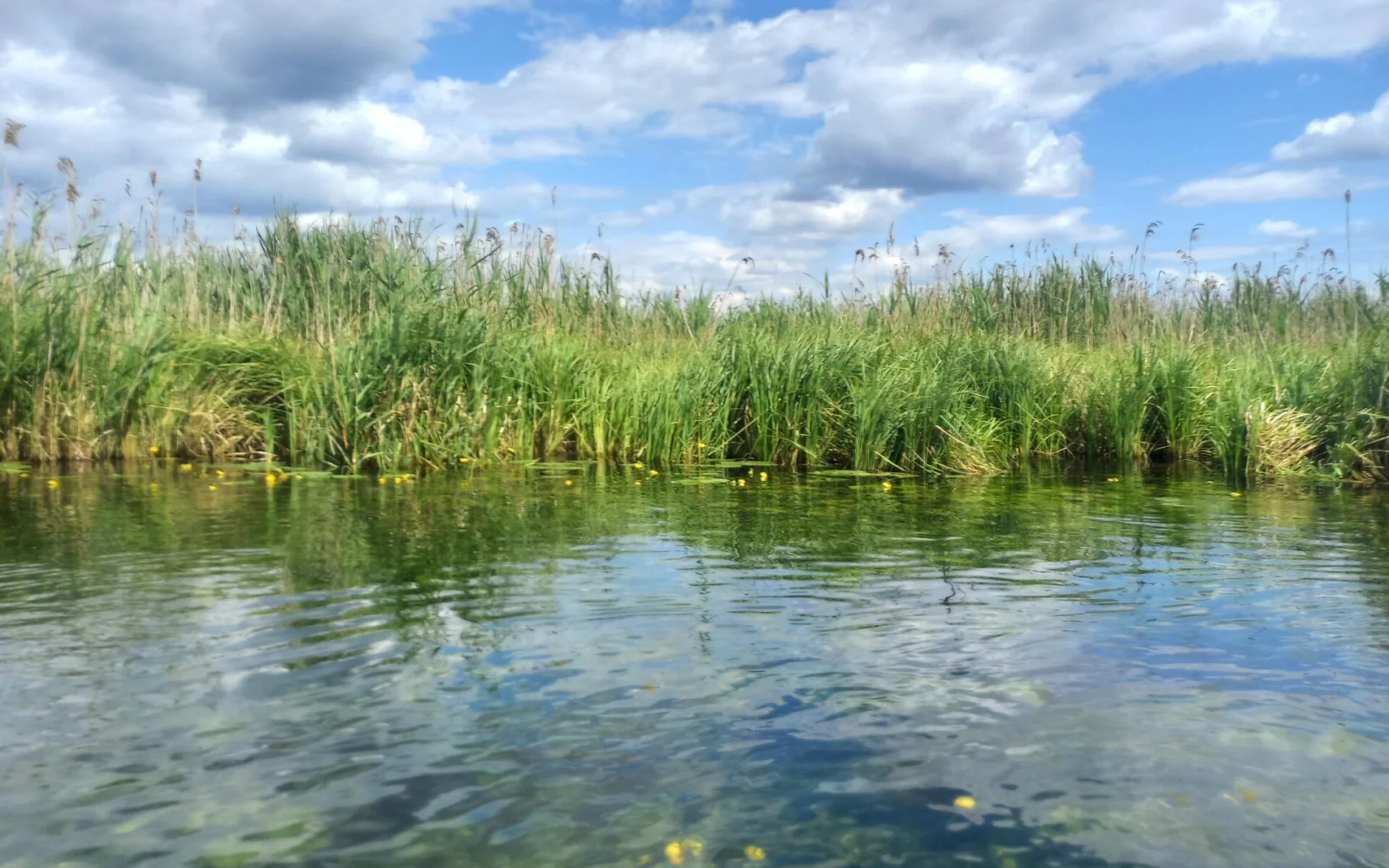 In ihrem glasklaren Wasser können Sie so manche Entdeckungen machen.