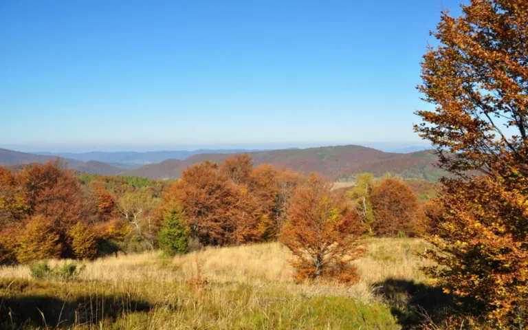 Willkommen im Nationalpark Bieszcczady!